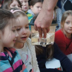 Żywa lekcja biologii 