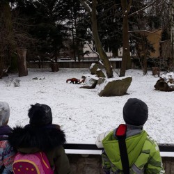 Lekcje opieki nad zwierzętami